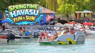Springtime Visitors and Great Weather | Lake Havasu City Vibes