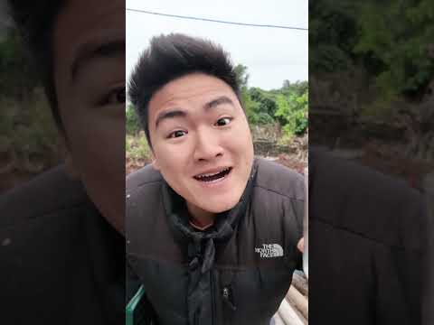 Hứng kẹo mút | Tân ối á