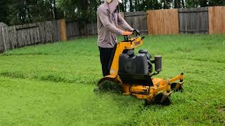 Lawn Mowing ▶13