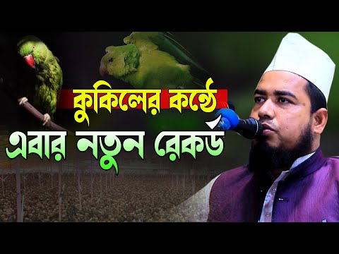 কুকিলের কন্ঠে এবার নতুন রেকর্ড মাওলানা আহসানুল হক সাহিন শরাফতী দাঃবাঃ