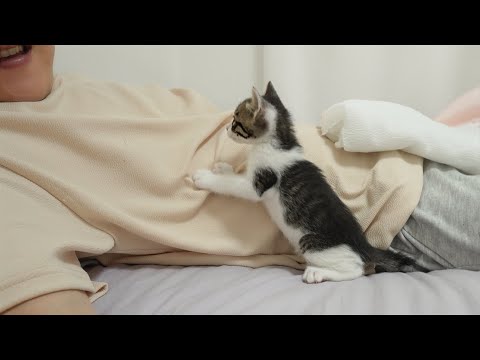 A Rescued Kitten Comes to Me and Says Every Night, "I want to sleep together"