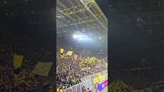 Die gelbe Wand gegen Mainz #bvb #bvb09 #borussiadortmund #bundesliga