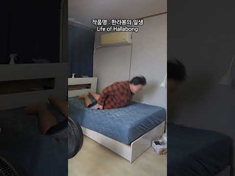 작품설명 댓글