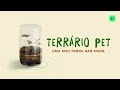 Construindo e Mantendo um Terrário