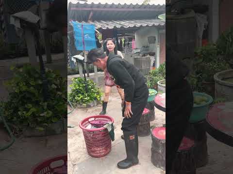 ไปโลดข่อยซักเอง #funny #comedy #คลายเครียด