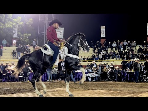 CUADRA LOS KILLOS EN LA FERIA GANADERA DE CULIACÁN CON EL CABALLO DEL KC