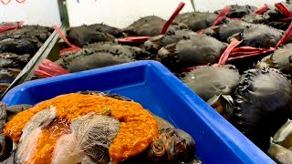 一起來竹圍漁港,帶你一起看療癒的海鮮/ 竹圍漁市場| Zhuwei Fishing Harbor