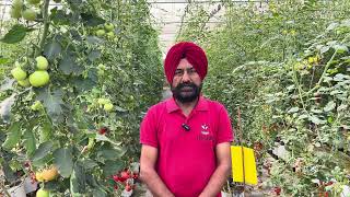 12th & 13th April ON FARM Training Workshop for Hydroponic farming