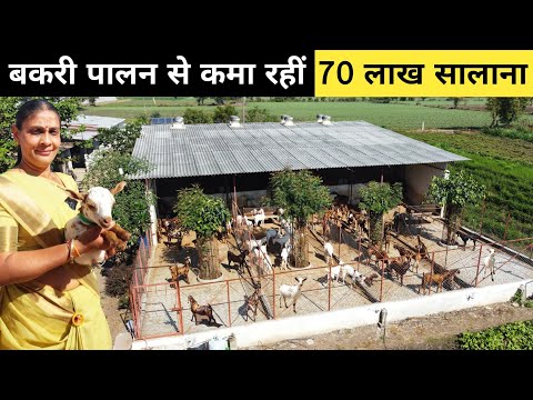 गांव में बकरी पालन से शहर से ज्यादा कमाई कर रही महिला | Goat Farming | Goat Farm Tour