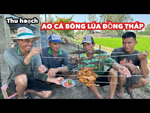 Đặt Máy Bơm Tát Ao Bông Lúa Đồng Tháp • Gà Nướng Muối Ớt Siêu Cay Lấy Năng Lượng Bắt Cá