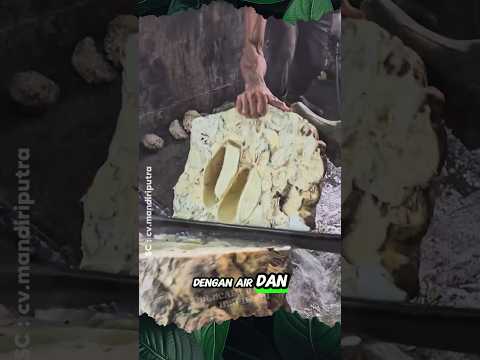 Karet Oplosan Petani Nakal #shorts #petani #karet