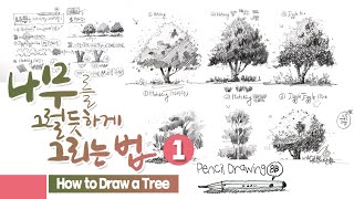 (나무 ③) 나무를 자세히 & 빨리 그리는 법 1