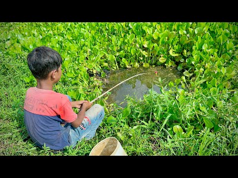 Fishing Video  I was amazed to see this boy cleaning the pond and catching fish  Best hook trap