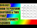Dihybrid Cross Concepts and Probabilities