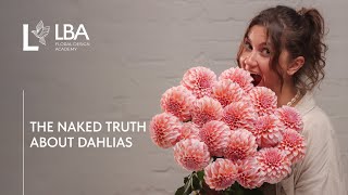DAHLIAS: HOW TO CARE FOR AND STORE | A FLORIST’S GUIDE | LBA TIPS