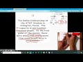 Understanding Division and Estimation Concepts