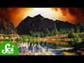 Understanding Microrefugia and Climate Change