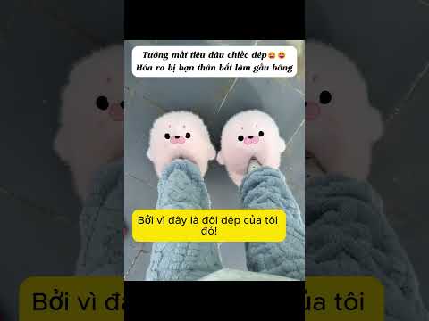 Dép của tui mà bạn thân tưởng là gấu bông luôn á trời #dochoidocla