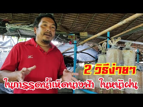 2-วิธีง่ายๆ-ในการ-รดน้ำเห็ดนางฟ้า-ในหน้าฝน สาระแนเห็ด เพราะเห็ดเปลี่ยนชีวิต 2 วิธีง่ายๆ ในการ รดน้ำเห็ดนางฟ้า ในหน้าฝน