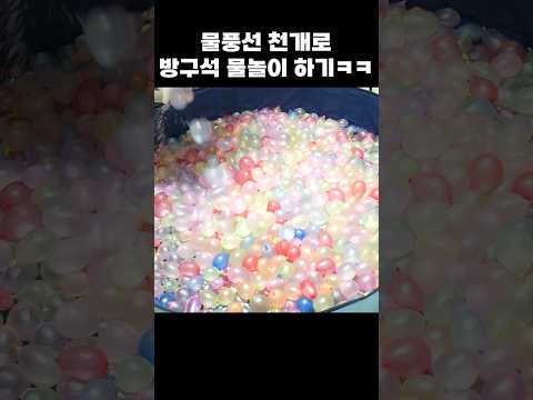 물풍선 천개로 방구석 물놀이하는 페럿과 집사 ㅋㅋㅋ