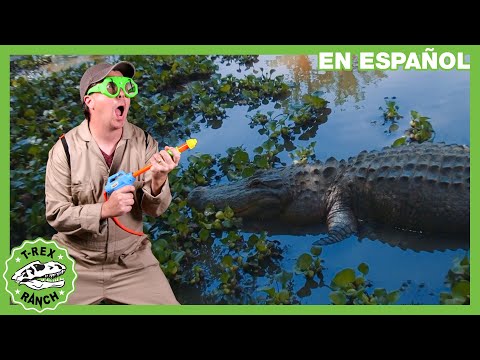 Visita al pantano de cocodrilos 🐊 | Videos de dinosaurios y juguetes para niños