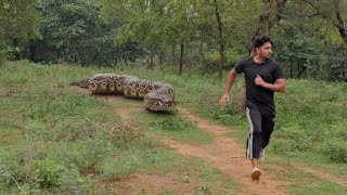 Anaconda Snake Attack Village Boy In Forest