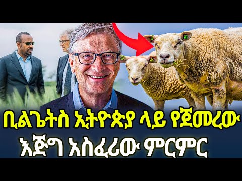 ቢልጌትስ ኢትዮጵያ ላይ የጀመረው  እጅግ አስፈሪው ምርምር