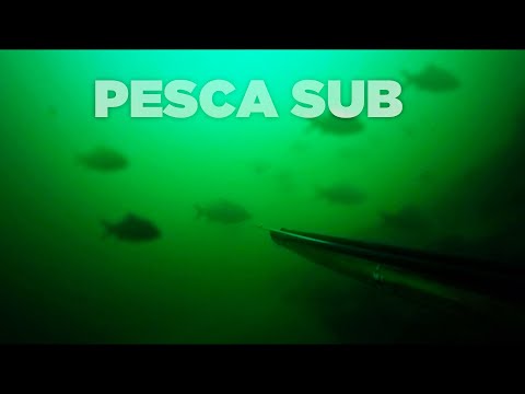 PESCA SUB PESCADOR BABA (RIO SÃO FRANCISCO POVOADO JACARÉ -SE)