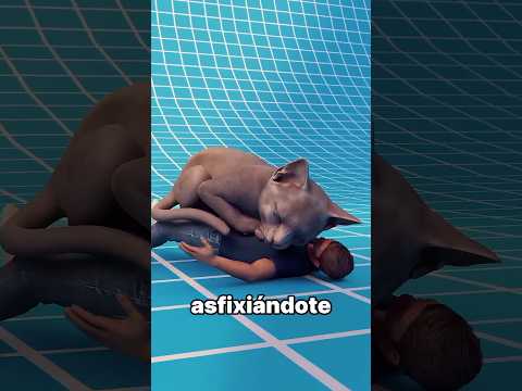 ¿Te Mataría Un Gatito Del Tamaño De Un Tigre? 🤔