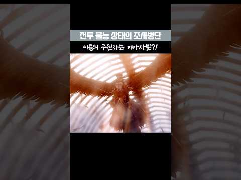 위기의 순간, 구원자는?!