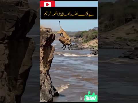 Allah tala Bada Raheeem he ❤️ #shortvideo#