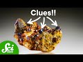 Understanding Garnets and Geological Processes