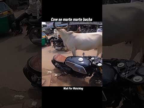 cow se marte marte bacha gaya