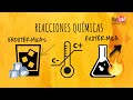 Exploring Endothermic and Exothermic Reactions