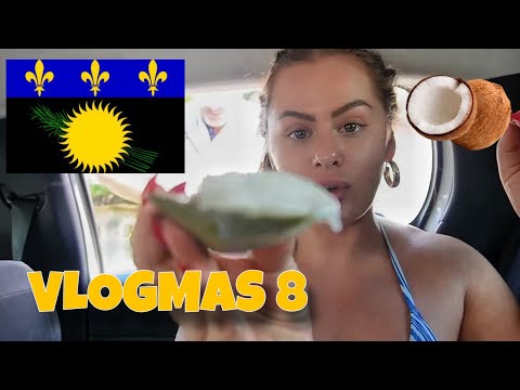 VLOGMAS 8 en Guadeloupe 🇬🇵 (je teste la coco, bukit, plage de la perle) 🏝️