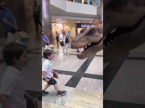 Feeding a T.Rex