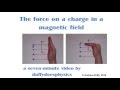 Charged Particles in Magnetic Fields