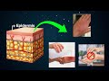 First Aid and Burn Treatment