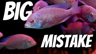 Flexing cost a beautiful fish his life