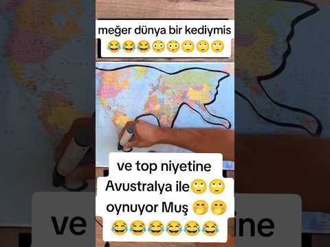 Yani dokuz canlı bir dünya da yaşıyoruz😀😀😀 #kedi