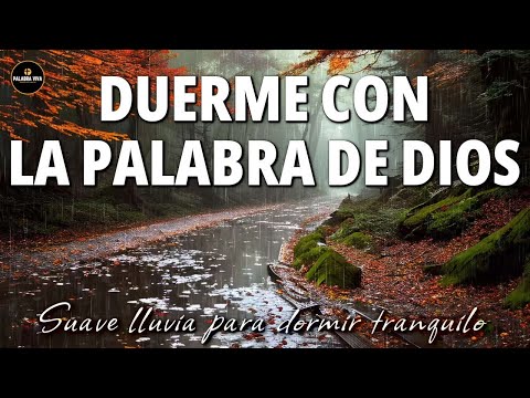 Poderosos versículos Bíblicos con lluvia para Dormir | Biblia Hablada | 3 hrs