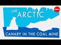 Arctic Climate Change Impacts