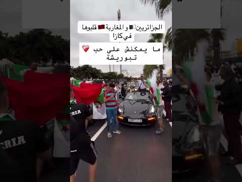 لقطات نادرة من كازا 😱 جمهور مغربي وجزائري في مشهد واحد!🤯