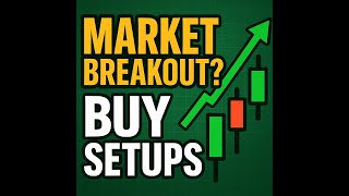 Elon vs Trump, China, & a Raging Bull Market: How I'm Trading This Week