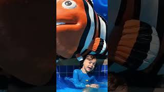 Cuidado tubarão 🦈 #viral #shark #shorts