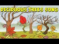 Deciduous Trees and Seasonal Changes