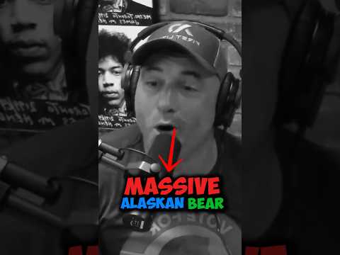 Joe Rogan on Massive Alaskan Bear Encounter With Woman