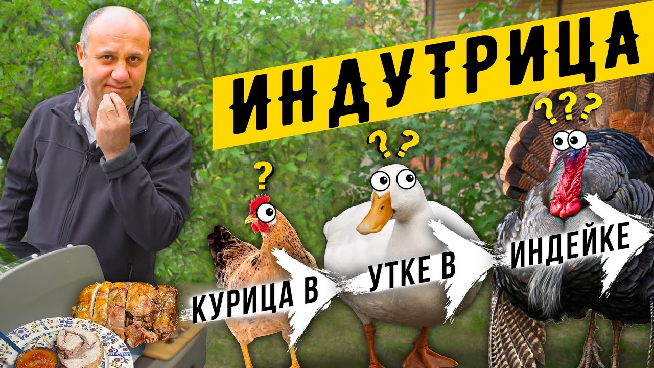 Блюдо Кощея! ИНДУТРИЦА или TURDUCKEN - матрёшка из трёх птиц: индейка + утка + курица в одном блюде