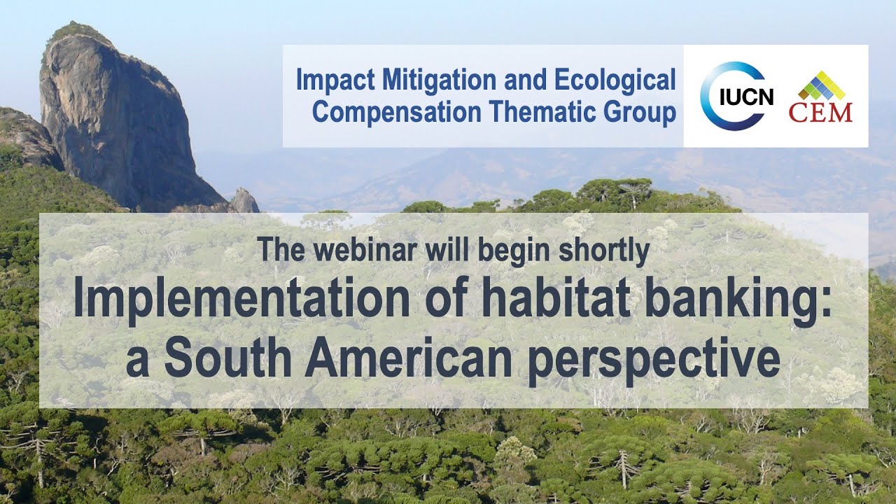 Implementation of habitat banking: a South American perspective video thumbnail