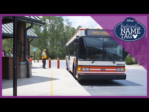 Disney World Ride Operator Job Jobs Ecityworks Disney World Ride Operator Job Jobs Ecityworks